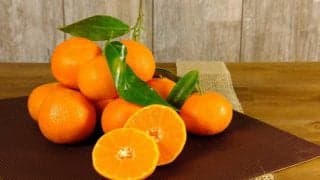 冬の定番な果物「みかん」