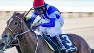 迎春Sは4歳馬が好成績 5番人気以内に注目