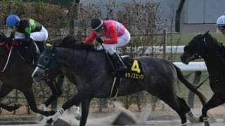 【すばるS結果】キタノズエッジが差し切りオープン初勝利