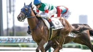 【フェアリーS前日オッズ】ギリーズボールが3.6倍で1番人気