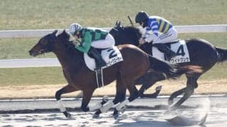 【新馬/京都3R】坂井瑠星騎乗 ビービークローサーがデビューV