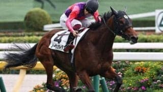 中山芝は内優勢 フェアリーSはノーザンタイタンの先行押し切りだ