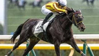 1月11日に行われるJRA開催 気になる1枠の成績は？