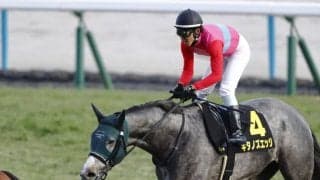 【すばるS】鮮やかな差し切り！キタノズエッジがオープン初勝利