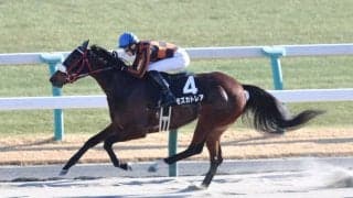 【出町特別】単勝1.3倍モズカトレアが断然の支持に応える