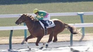 【京都4R】タガノアバンドーネが2勝目