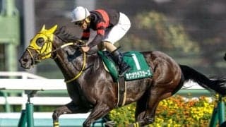 25年京成杯AHの勝ち馬ホウオウラスカーズが登録抹消 岡田スタッドで繁殖入り