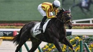 【今日の注目ポイント】中山で3歳牝馬の重賞・フェアリーS