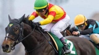 上位人気は苦戦傾向 フェアリーSで注目の人気と騎手は？