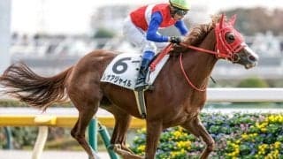 【フェアリーS予想】荒ぶるレースのターゲットタイプとは？ 過去データで探るGIIIフェアリーS