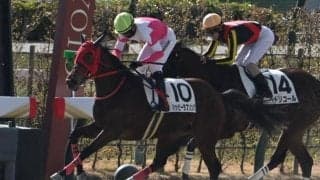 【京都2R新馬戦結果】バンドワゴン産駒の9番人気ハッピーラブソングが差し切りV