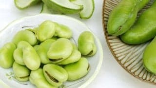 そら豆の驚くべき効果効能とおいしい食べ方
