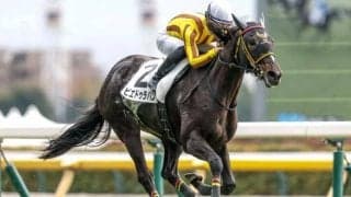 【フェアリーS・馬体重】ピエドゥラパンは462kg(±0)、ギリーズボールは424kg(-4)