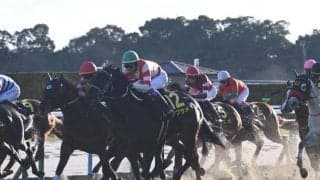 【JRA・WIN5】本日のWIN5は的中157票、配当278万7230円