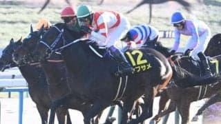 【淀短距離S結果】武豊騎手騎乗のヤブサメが人気に応えて差し切りV