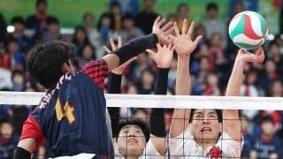 伸ばした手の先に…　届きそうで届かなかった栄冠　春高バレーのコートサイドから