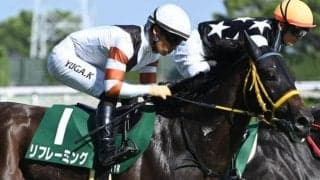 JRA最後のキングヘイロー産駒 24年小倉記念を制したリフレーミングが登録抹消