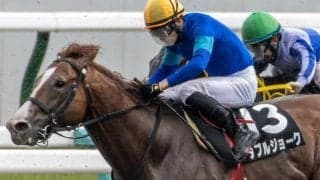 京都ダートは差し優勢 雅Sはダブルジョークが波乱を呼ぶか