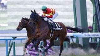 【新春S】ベラジオボンドが好位から抜け出し4勝目