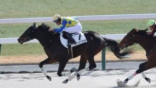 【京都5R】1番人気ライトオブヌカタが2勝目