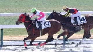 【新馬/京都2R】バンドワゴン産駒 ハッピーラブソングがデビューV