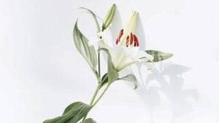 若い女性がかかりやすい病気と予防について紹介