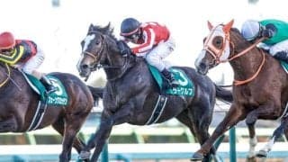 23年の中山金杯を勝ったラーグルフが登録抹消 今後は千葉県で乗馬に