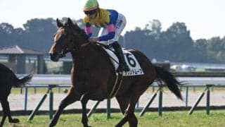 【AI予想・シンザン記念】未勝利勝ち直後でも能力は通用！ 外枠も歓迎材料になりそうな妙味十分の本命馬