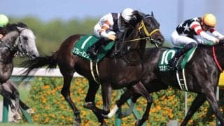 リフレーミングが登録抹消、種牡馬入りの予定