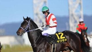 【淀短距離S】武豊ヤブサメが矢のような伸びで快勝