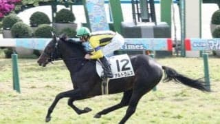 【シンザン記念予想】クラシックの登竜門 出世レースを制すのは