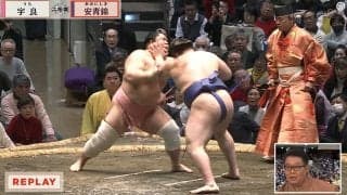 「宇良が一番嫌がること」「すぐ横綱ですよ」安青錦の“凄さ”に元横綱・若乃花も賞賛止まず