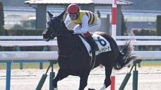 【京都5R新馬戦結果】シルバーステート産駒ニシノサリーナが5馬身差で圧勝