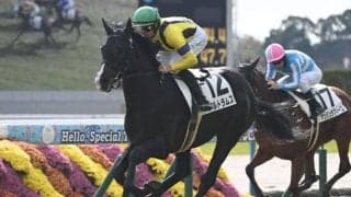 【シンザン記念・馬体重】アルトラムスは474kg(-6)、モノポリオは482kg(-10)