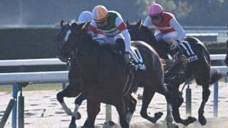 【JRA・WIN5】本日のWIN5は的中192票、配当229万5980円