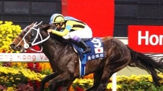 『ウマ娘』でもついに実装された異端児　名手の度肝を抜いて引退レースで奇跡の戴冠を遂げたステイゴールド