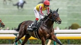 【京成杯】アッカン、アクセスらが登録