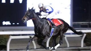 【高知・ベラトリックス特別】シンリンゲンカイがクビ差逃げ切りで3連勝、初の準重賞制覇