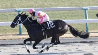 【雅S】モックモックが完勝…ルメール騎手はこの日の3勝目