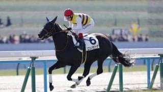 【新馬/京都5R】セイウンハーデス全妹、ニシノサリーナが5馬身差楽勝