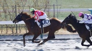 【新馬/京都4R】外国産アメリカンスタイルが抜け出す