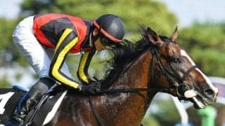 日経新春杯と京成杯の2重賞/今週の競馬界の見どころ