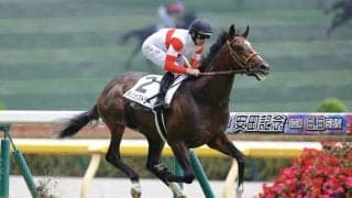 【京成杯登録馬】ダノンヒストリーなど17頭