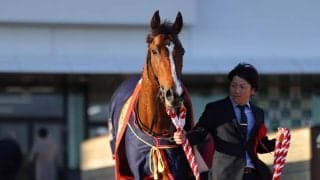 WIN5は229万円超の払戻し…シンザン記念はサンダーストラックがV