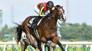 【日経新春杯見どころ】菊花賞で地力見せたゲルチュタールが強敵を一蹴する