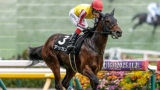 【京成杯見どころ】機動力が持ち味のアッカンが3連勝で重賞初制覇だ