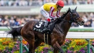 【京成杯想定騎手】アッカンは池添謙一騎手、ポルフュロゲネトスは横山武史騎手