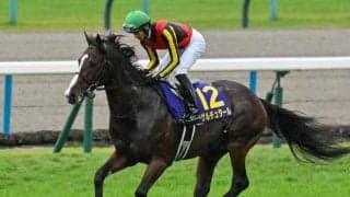 【日経新春杯想定騎手】ゲルチュタールは坂井瑠星騎手、ヤマニンブークリエは横山典弘騎手