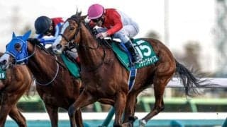 【フェアリーS】売上は99億2329万1800円で昨年より約10億円増加