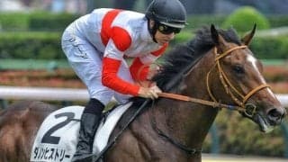 【京成杯】セレクト3.9億円のダノンヒストリー 史上最高額のJRA重賞勝ち馬となるか